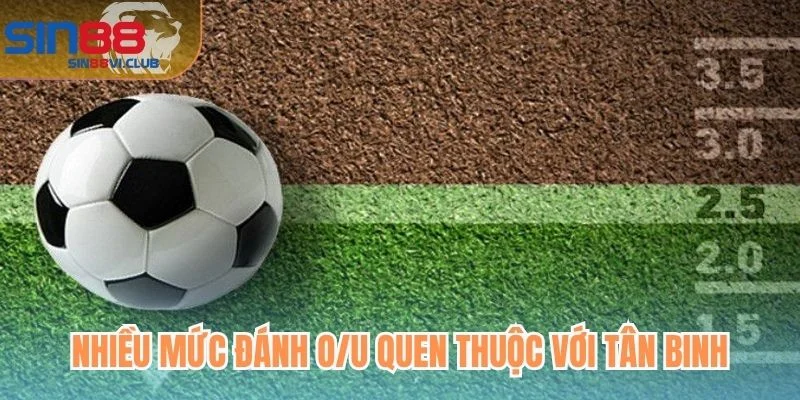 Nhiều mức đánh O/U quen thuộc với tân binh